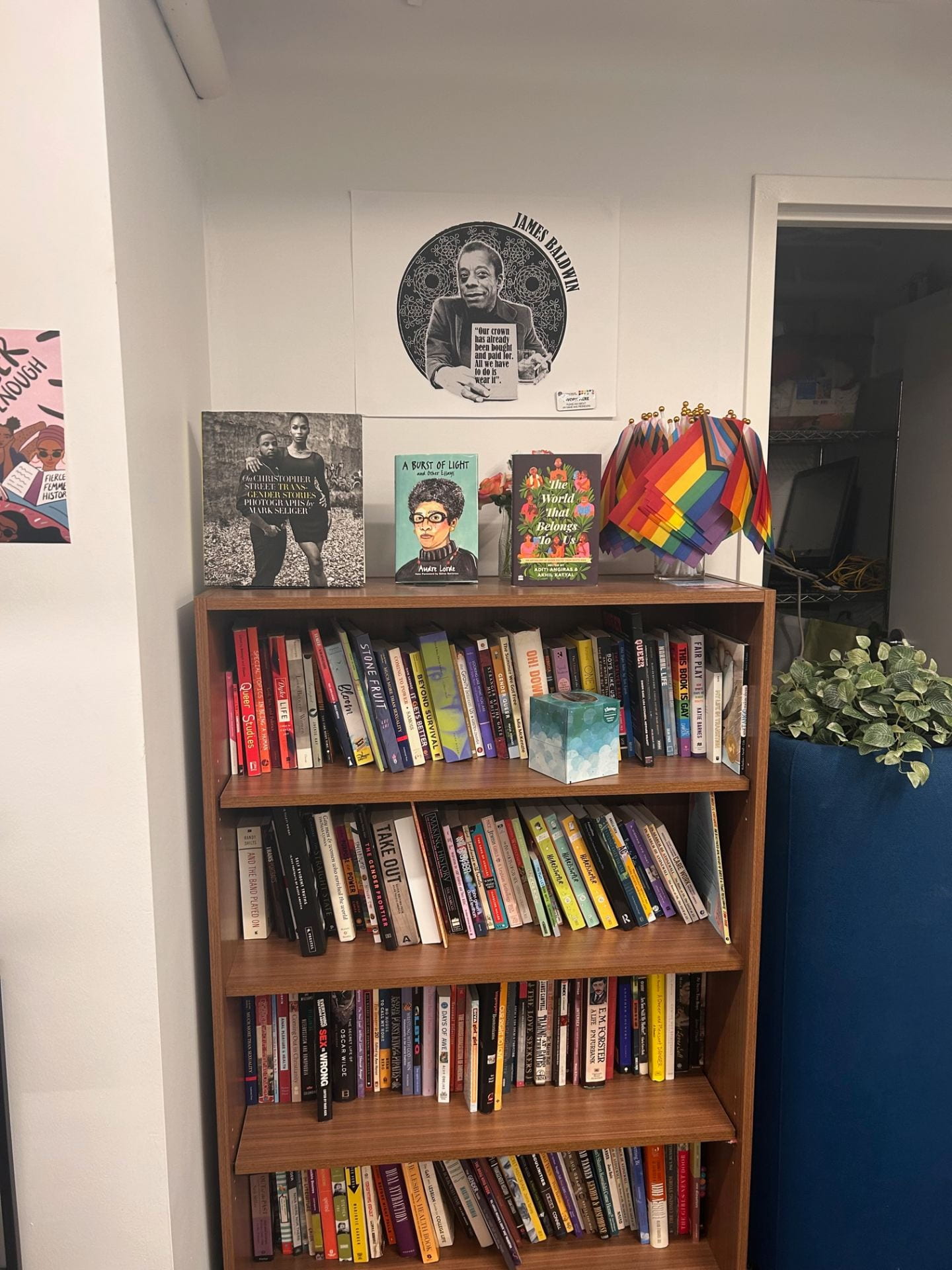 Image of bookshelf with queer literature.